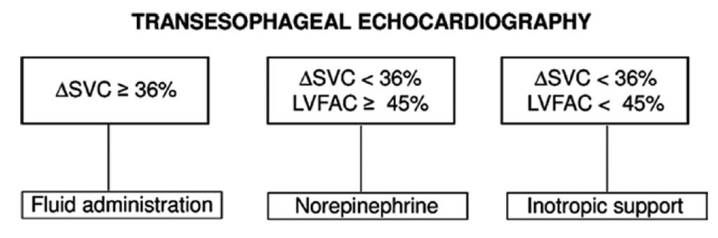 A proposal to replace SvO2 by direct evaluation of preload responsiveness