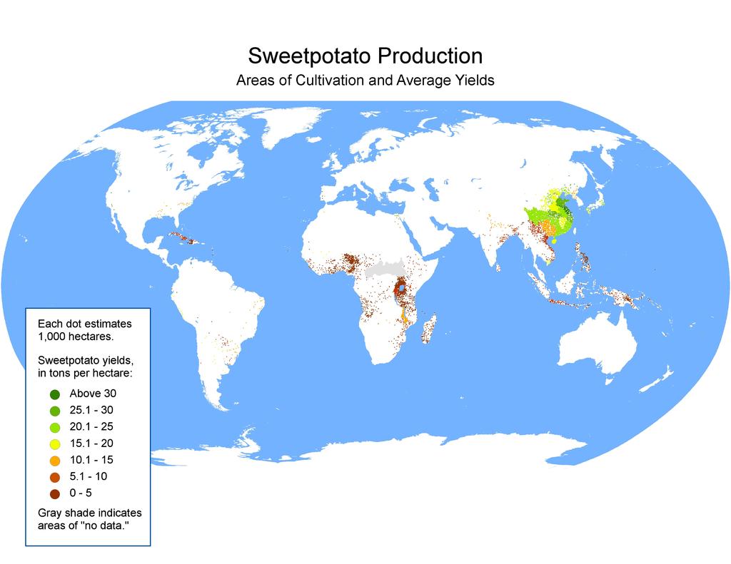 Sweetpotato production: Total world: 130 million Tons (MT) Cuba 0.4 MT (0.4%) China 100 MT (82%) Peru 0.2 MT (0.2%) Vietnam 1.