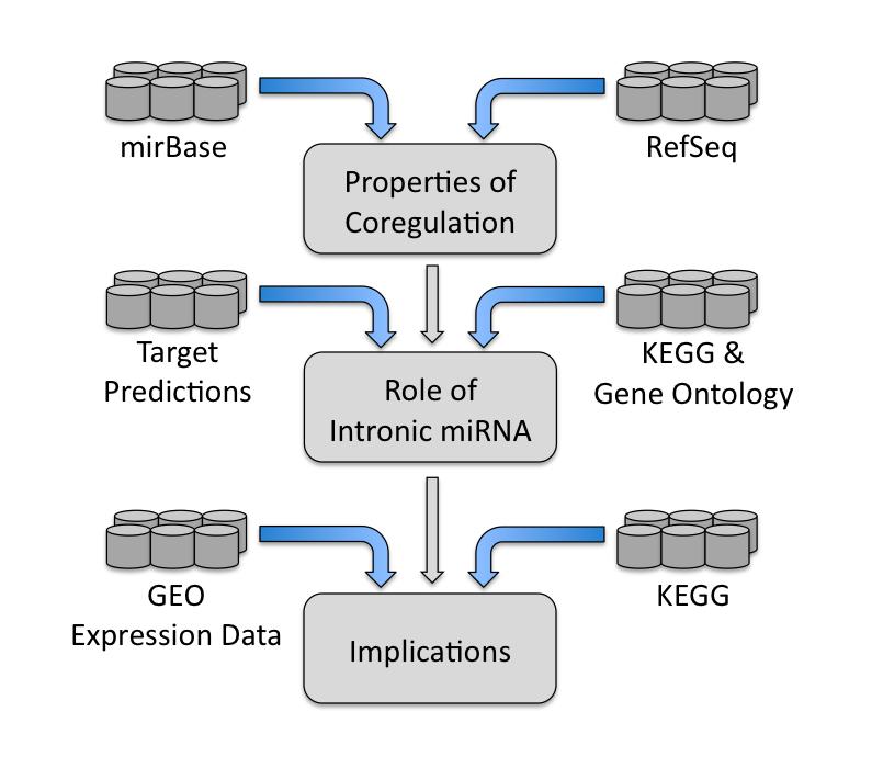 Figure 4 - Integration of Multiple Databases The integration of multiple databases