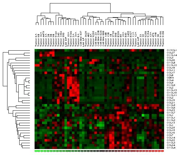 Expression of a subset of chemokine genes is associated with presence of CD8 + T cells in melanoma metastases
