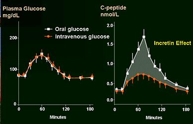 The Incretin Effect Beta Cell Response to Oral