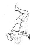 Back and Hip - Stability and Strengthening - Level 2 2. Hip stability 3.