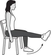 7. Leg Extensions Main muscles worked: Quadriceps You should feel this exercise at the front of your thigh Sit up straight on a chair or bench.