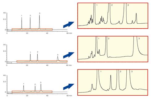 Biochromatography 135 YMC-BioPro series High binding capacity and high recovery for porous type The porous version of YMC-BioPro show high dynamic binding capacity and excellent recovery, making them