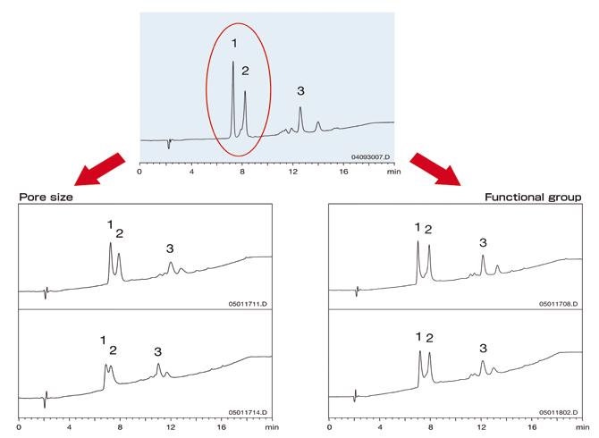 Biochromatography 161 Bioseparation Columns Comparison of separation on columns with different pore size and functional group* YMC-Pack C 4, 30 nm 1. BSA (MW 66,000) 2. Conalbumin (MW 77,000) 3.