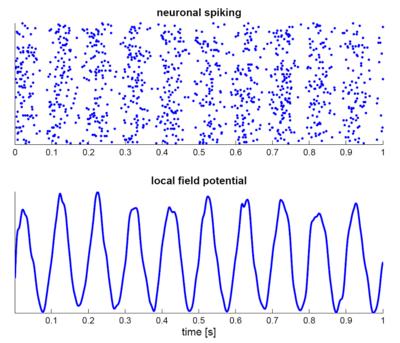 Simulation of neural oscillations at 10 Hz. Spiking of individual neurons (with each dot representing an individual action potential within the population of neurons.