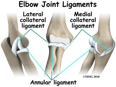 the elbow. These ligaments are not generally injured in the condition referred to as nursemaid's elbow.