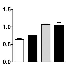 (D) activation markers and cytokine production were measured after 5