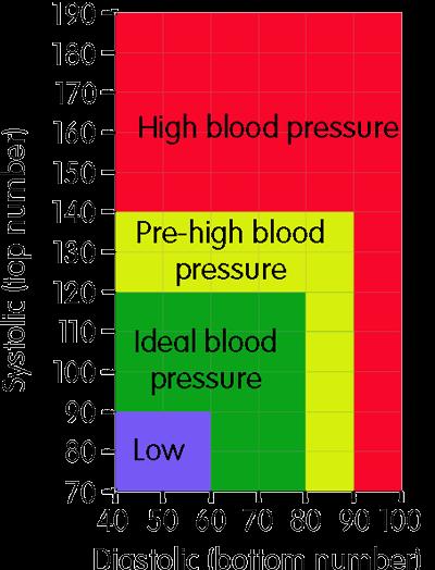 Name: Date: Class: #: LT: I can read and interpret graphs in order to determine blood pressure readings.