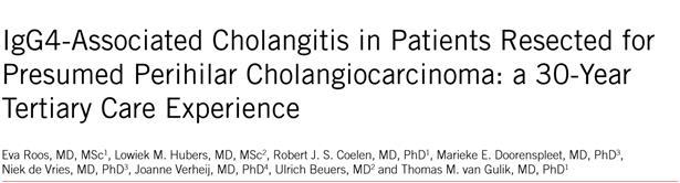 IgG4 disease; clinical relevance?