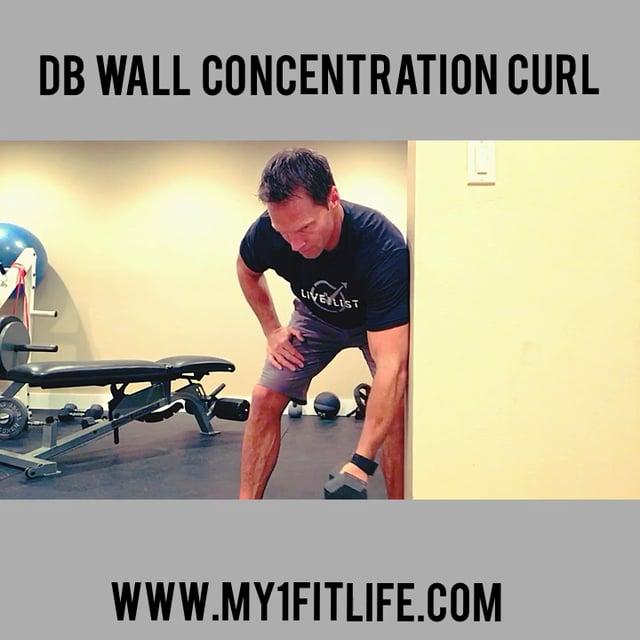 DB SINGLE ARM ROW DB WALL CONCENTRATION CURL Using a bench, hinge at the hip and place one hand on it to stabilize Holding a dumbbell in the other hand slowly begin to lift the weight Lead with the