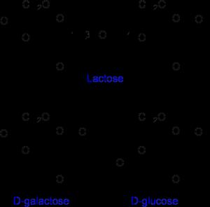 4. Lactose (milk sugar), is composed of galactose &