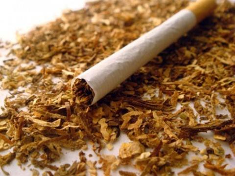 What Is Tobacco?