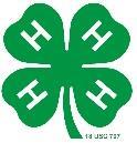 What is 4-H?