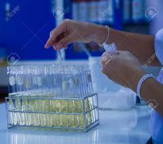 culture samples Representative tissue and fluid samples, between