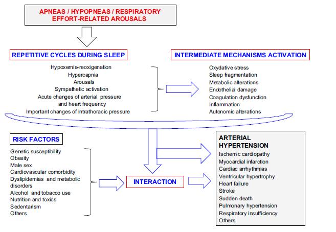Physiopathological mechanisms involved in the etiology