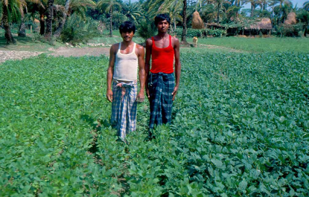1986 Bangladeshi farmers: