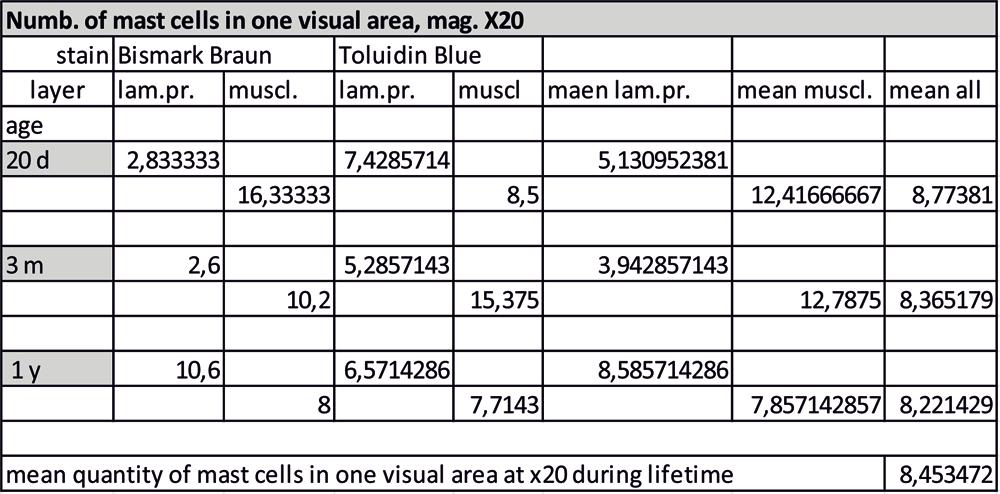 The different stains used showed some difference in the demonstrated numbers of mast cells.