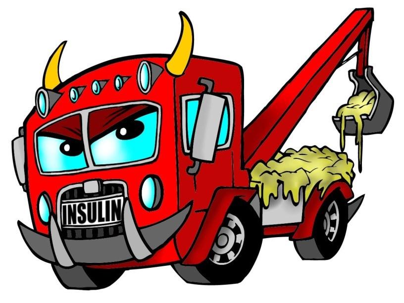Fat Truck=Insulin Three Things Happen