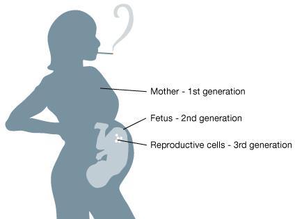Epigenetics and Reproductive Justice Lifestyle choices Individual focus bad mothers Race, class,