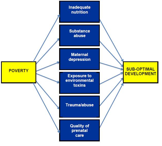 Poverty is a Major Risk Factor for