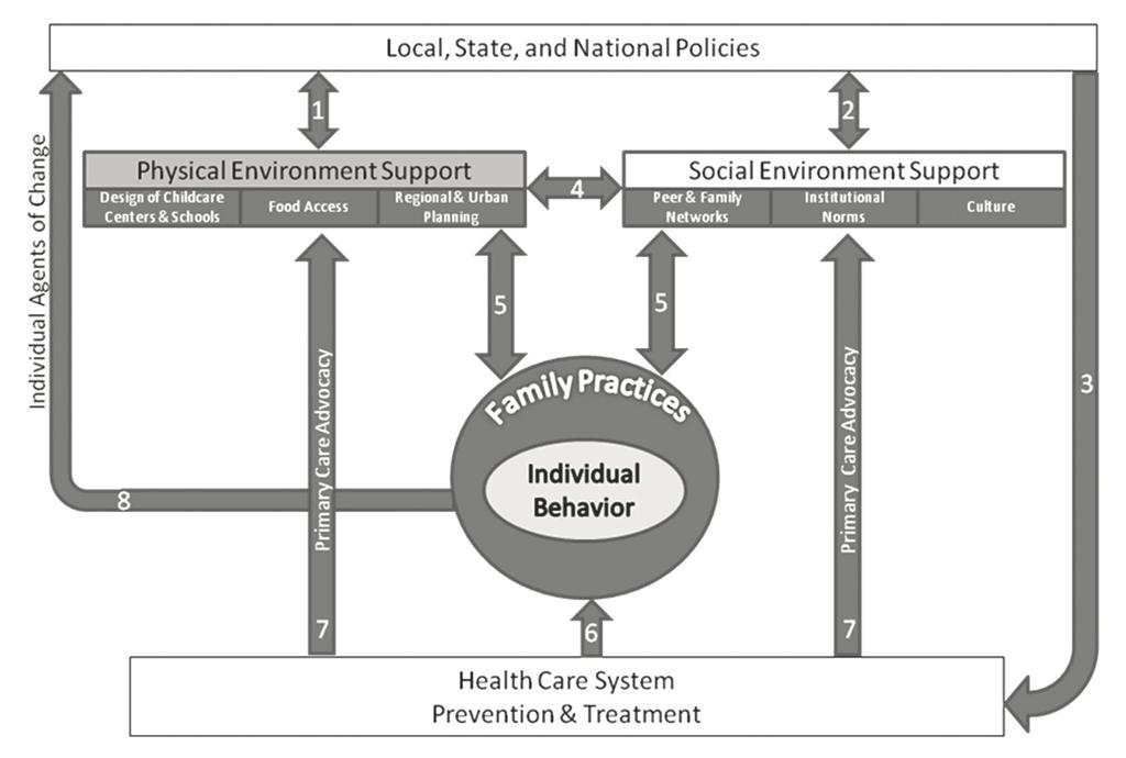 Community Systems Framework to Promote Healthy