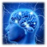 Brain Science & Mindfulness Meditation Meditation reduces the loss of gray matter associated with aging and memory Meditation also enlarges the