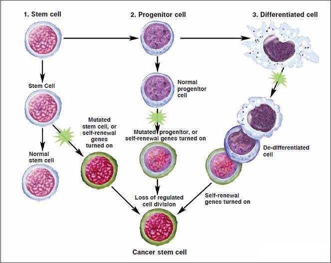 H. Cell Death 1.