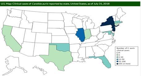 Candida in Wisconsin Nationally notifiable in 2019 C.