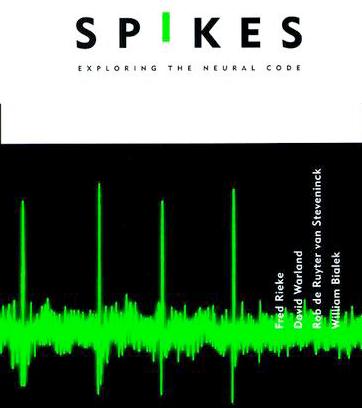 The Conventional Application of Information Theory to Neurons What do spikes tell US about sensory input?