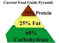 Current Food Pyramid Carbs were popular Low-Fat and Fat-Free were IN But was the pyramid ever tested on the human population?