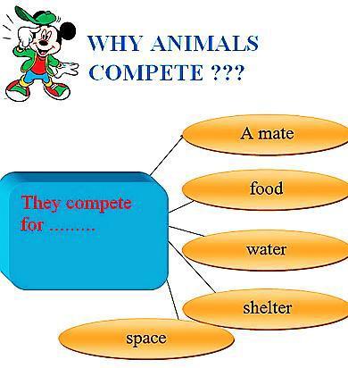 2. Competition Competition is an interaction between organisms, in which