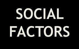 Sexual Abuse SOCIAL FACTORS 18% Antisocial Familia