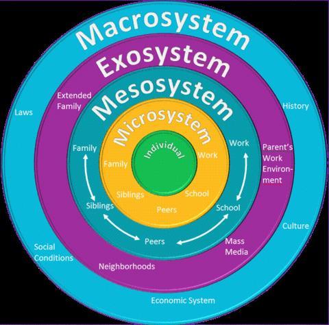 Bronfenbrenner Ecological Systems Theory Microsystem: institutions and groups that most immediately and directly impact the child's development Mesosystem: Interconnections between the microsystems