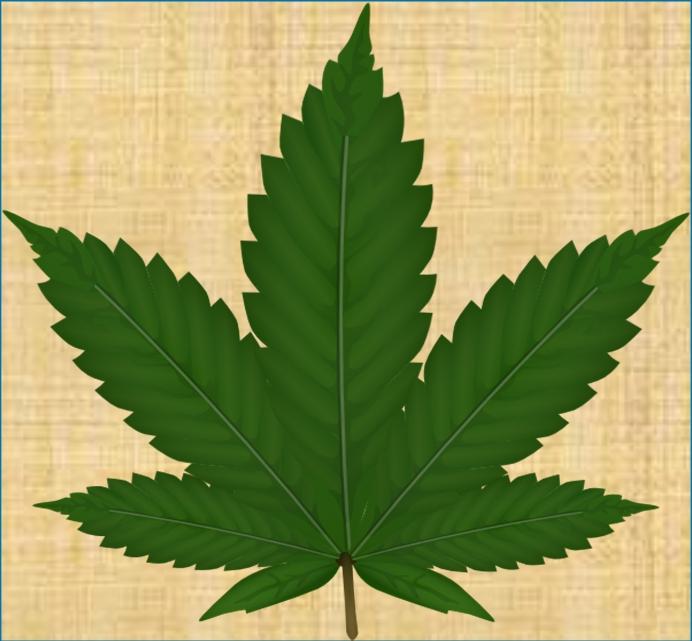 marijuana in assisted