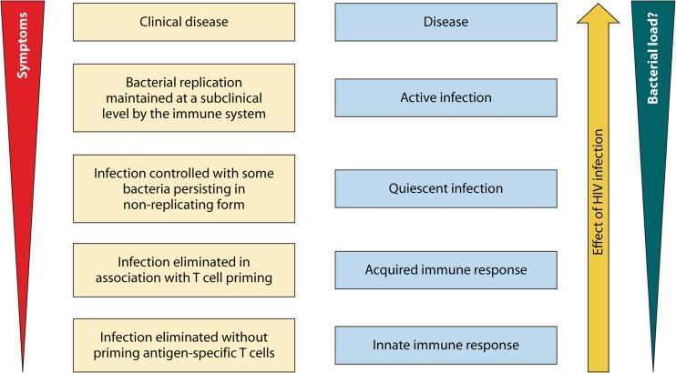 attenuated symptoms immune suppression Adapted from