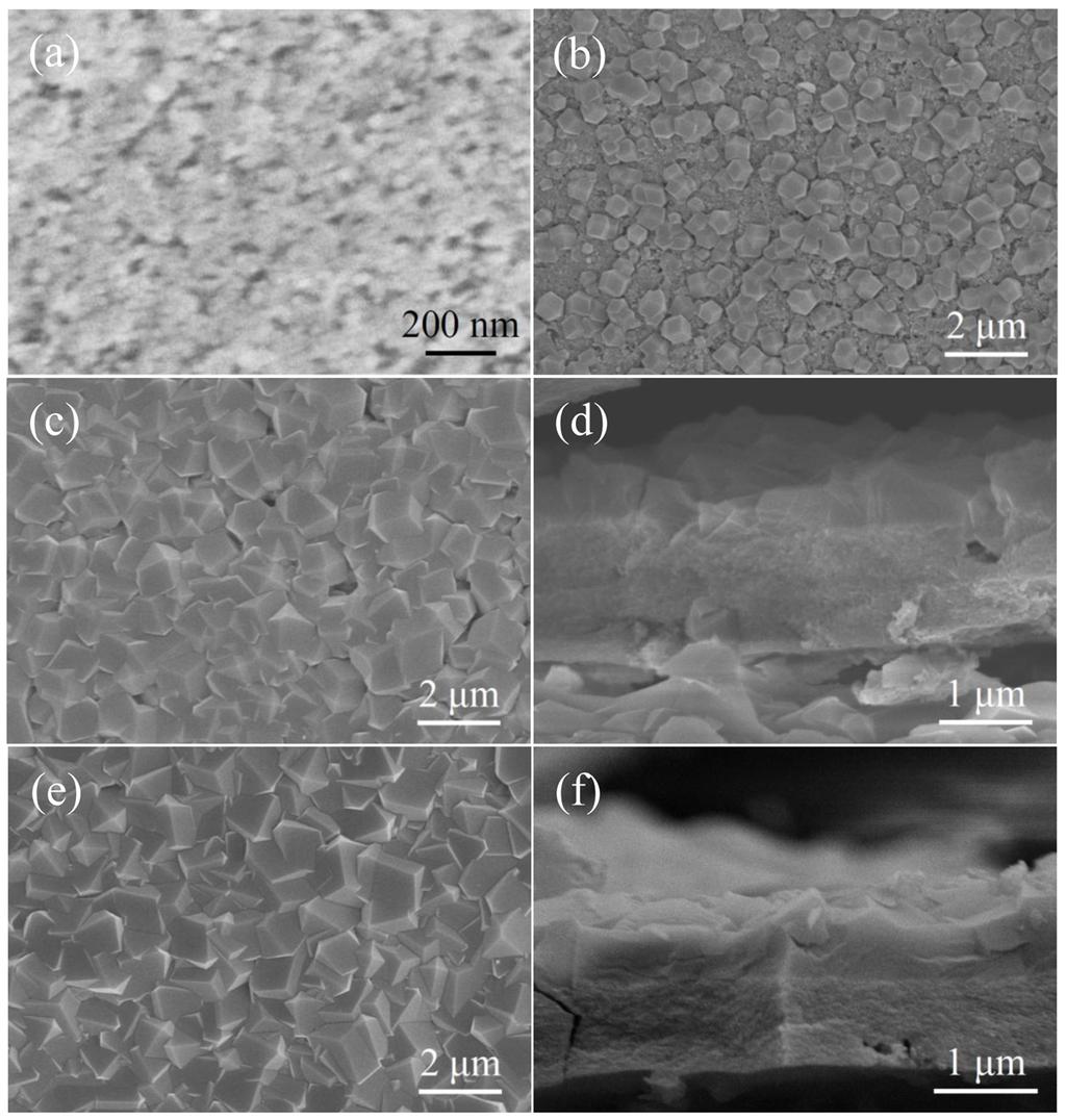 3. SEM images of the ZIF-8 samples synthesized by immersing the zinc hydroxide thin film in Hmim solution for different time Figure S2.