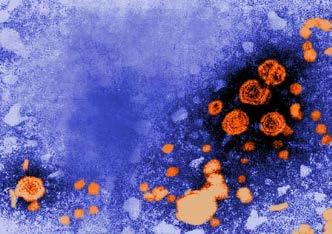 Hepatitis B Vaccines 3 types of disease: Acute, chronic, perinatal How common is Hepatitis B? Acute: approx. 19,200 new cases in US in 2014 Chronic: approx. 850,00 2.