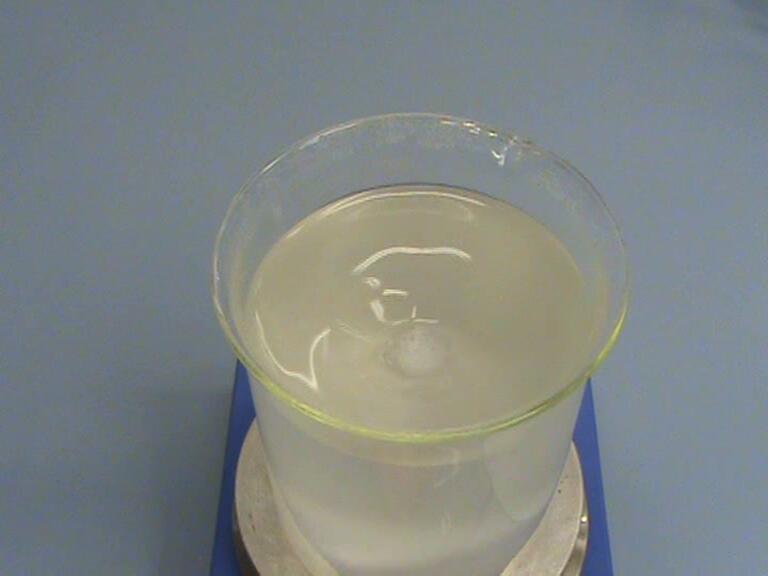 monohydrate RetaLac Agitation in cold water PAM: No dispersion after 10 min.