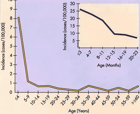 Age Distribution of