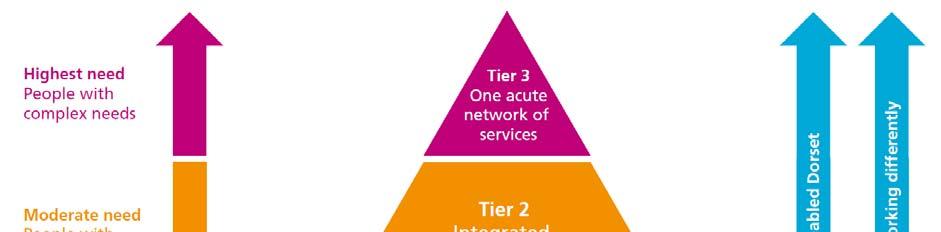Figure 1: Diagram showing the three tiers of care in the new model. ICS forms tier 2. What do we mean by Integrated Community Services (ICS)?