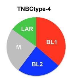 The Heterogeneity of TNBC Subtype Gene expression profile Possible sensitivity Basal-like 1