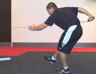 Triceps Pullbacks 1. Pull handle straight back as far as possible. 2.