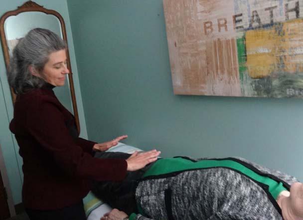 Holistic Energy Work Based on the clients needs and exhibiting symptoms During this phase, clients had a live blood session with Diane, an holistic energy session with me and then a second live blood