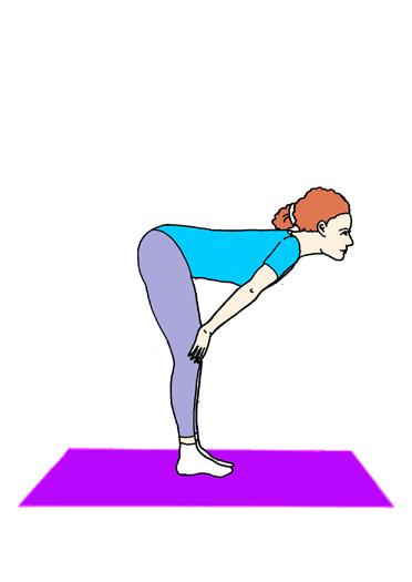 Exercise WILLOW Start in an upright position and straighten your back.