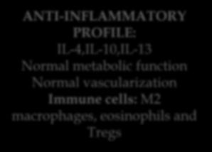 Severe hypoxia, Adipocyte necrosis Immune cells: M1 macrophages (crown-like structures), CD4 + T Iymphocytes, CD4 + T Iymphocytes, B