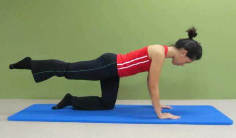 1. Quadruped Single-Leg Raise This exercise will improve the endurance of your back muscles, which is crucial during pregnancy.
