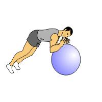 2, 5, or 10 lbs Medicine Ball 3 Point Ball Rollout 1. Place your forearms on top of the ball and your feet anchored on the floor. 2.