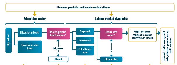 Overview of the main drivers of the health labour market 7 Ref.