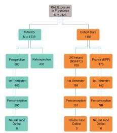prospectively identified NTD cases n = 2 retrospectively identified NTD cases (anencephaly, myelomeningocele; (TAB)) Slide 39 of 66 Shamsuddin et al CROI